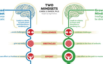 Mindset for success – How to foster a healthy attitude towards learning in your child